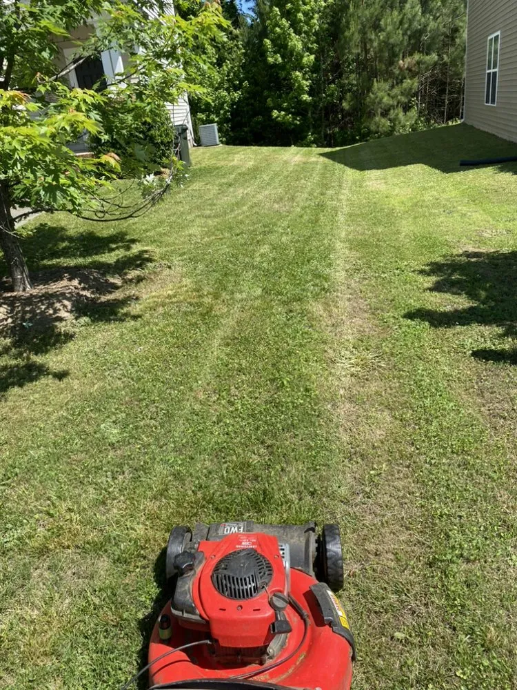 Expert garden landscaping for year-round maintenance in Durham, NC by Digg'in In Home Repair & Lawn Care Services