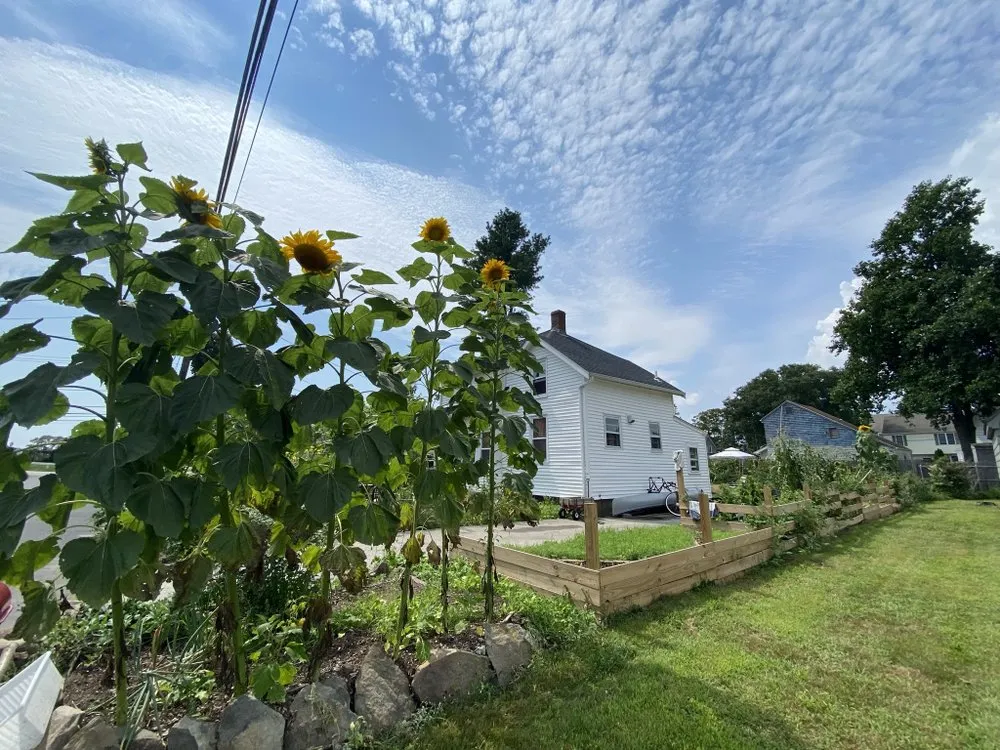 Expert lawn care service experts serving Barrington, RI - Digging Education