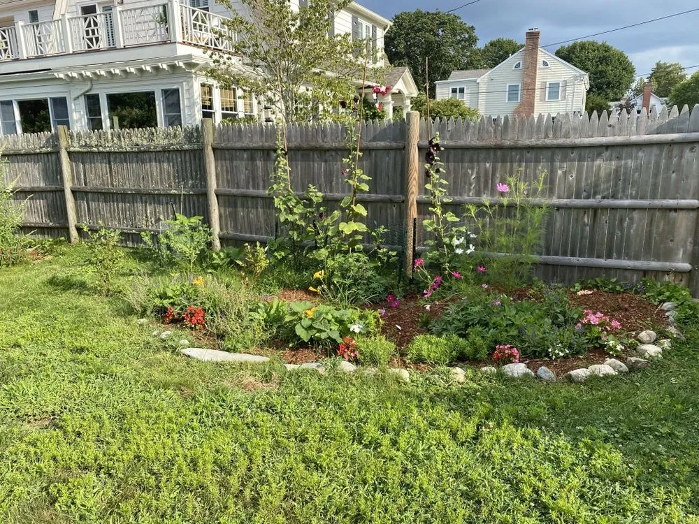 Local lawn mowing service experts serving Barrington, RI - Digging Education