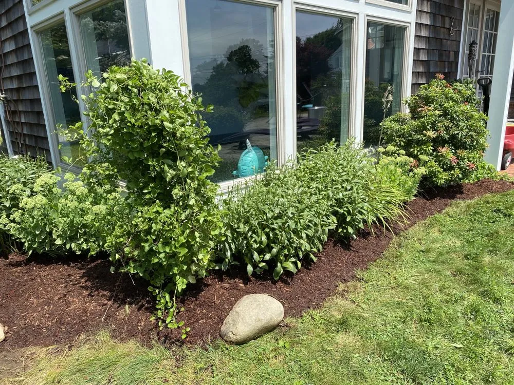 Custom yard maintenance in Barrington, RI by Digging Education