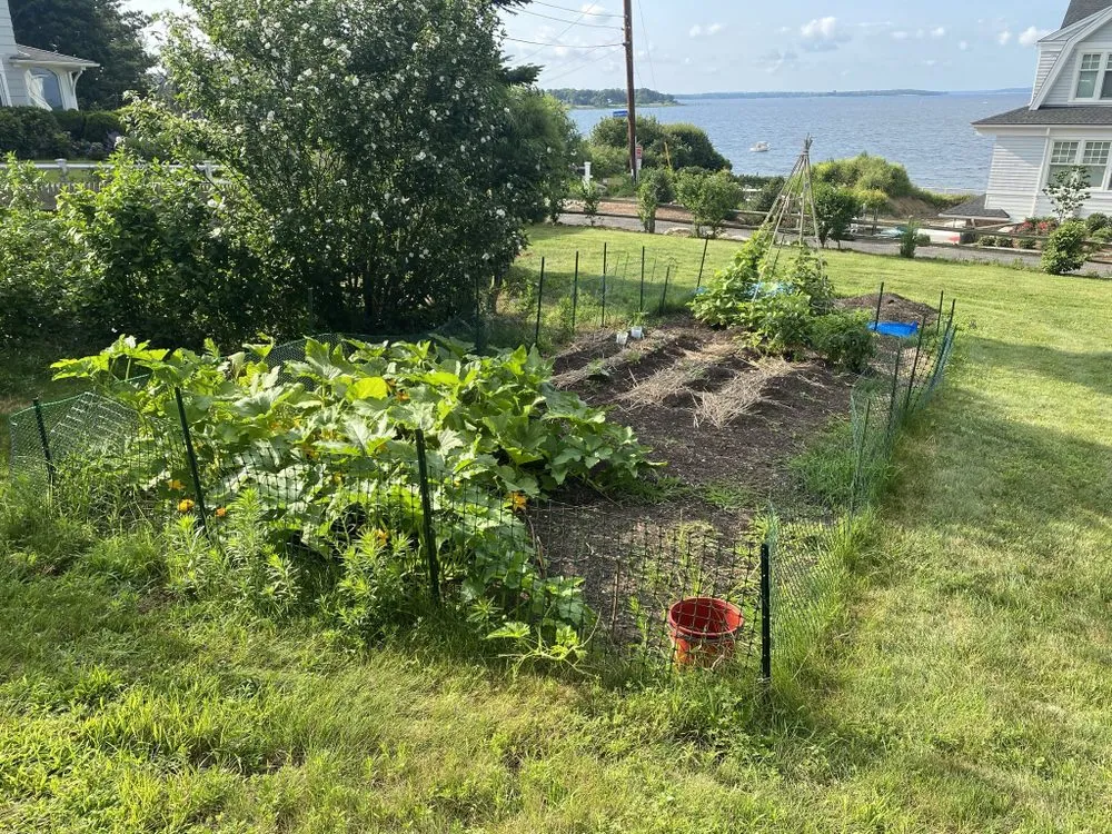 Custom yard cleanup service in Barrington, RI by Digging Education