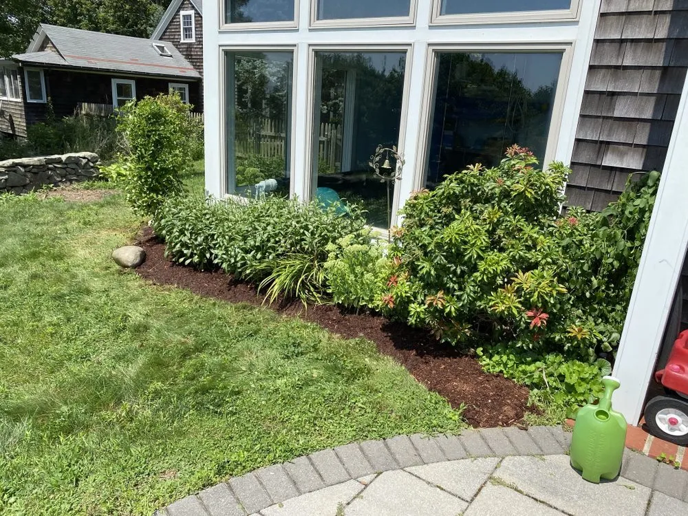 Affordable yard cleanup service in Barrington, RI by Digging Education
