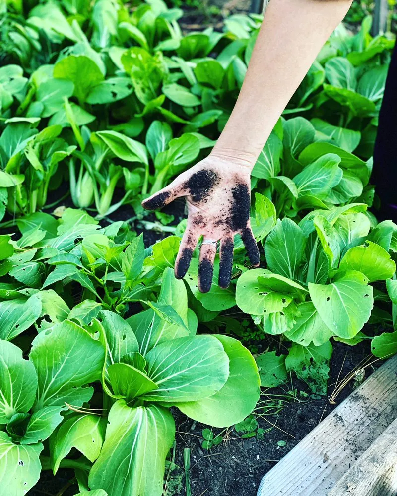 Professional residential landscaping for homes across Barrington, RI - Digging Education