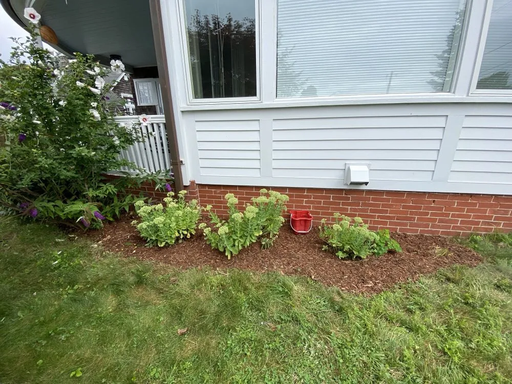 Top-rated yard maintenance for beautiful yards in Barrington, RI by Digging Education