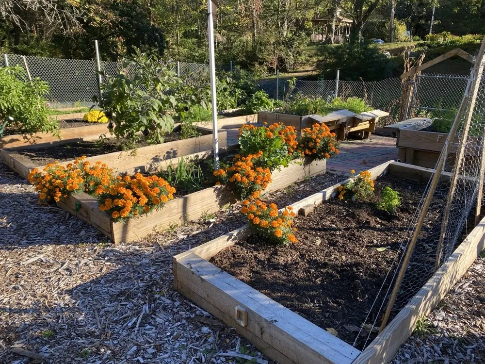 Local landscape installation for residential properties in Barrington, RI by Digging Education