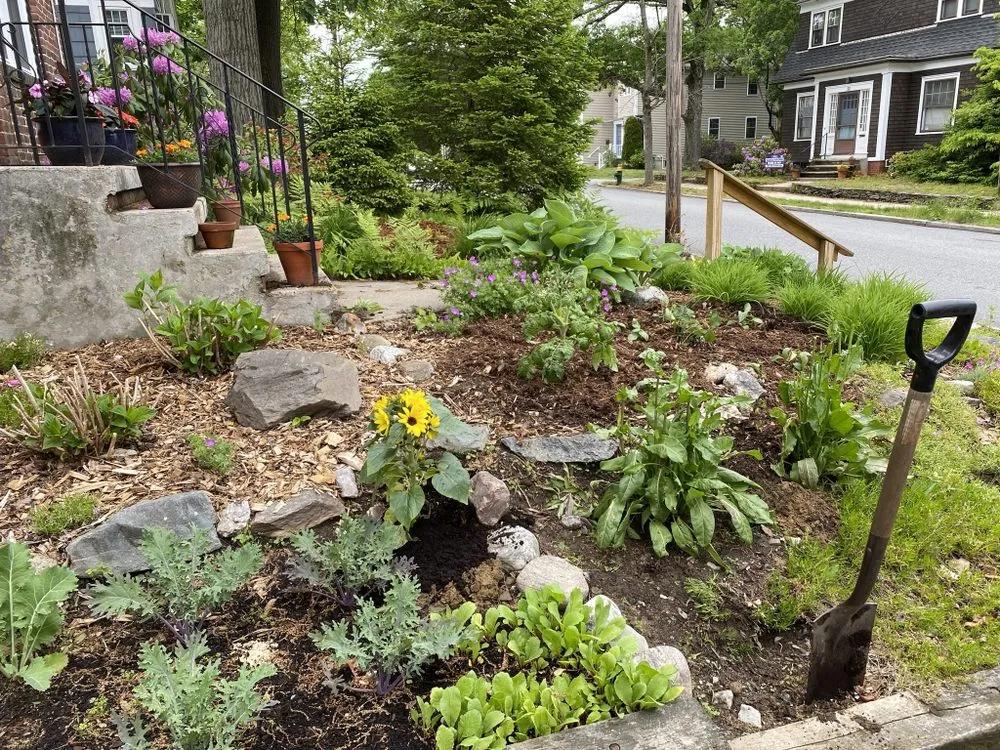 Custom lawn care service for beautiful yards in Barrington, RI by Digging Education