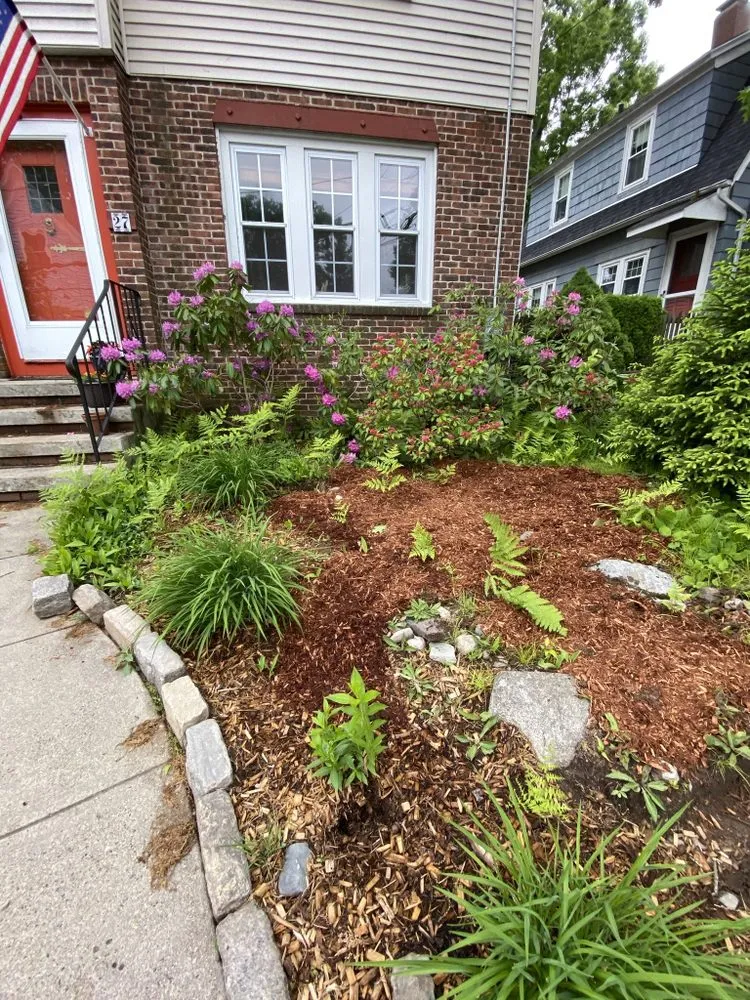 Custom landscape design for beautiful yards across Barrington, RI - Digging Education