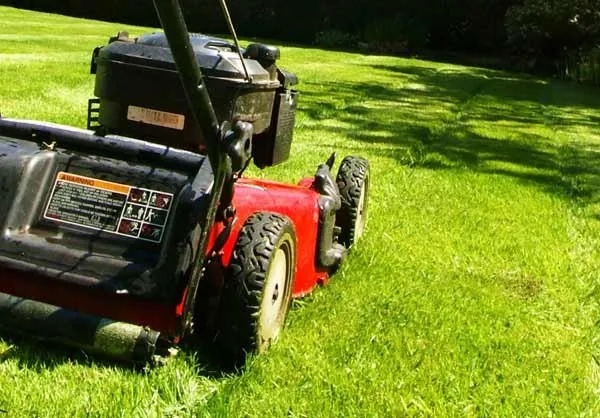 Top-rated landscape installation in APOPKA, FL - Diggins Enterprises Lawn Care