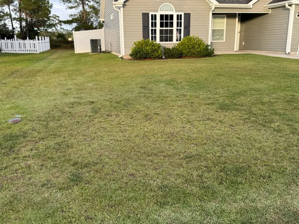 Trusted yard maintenance for outdoor upgrades in Conway, SC by Diggs Lawncare and Handyman