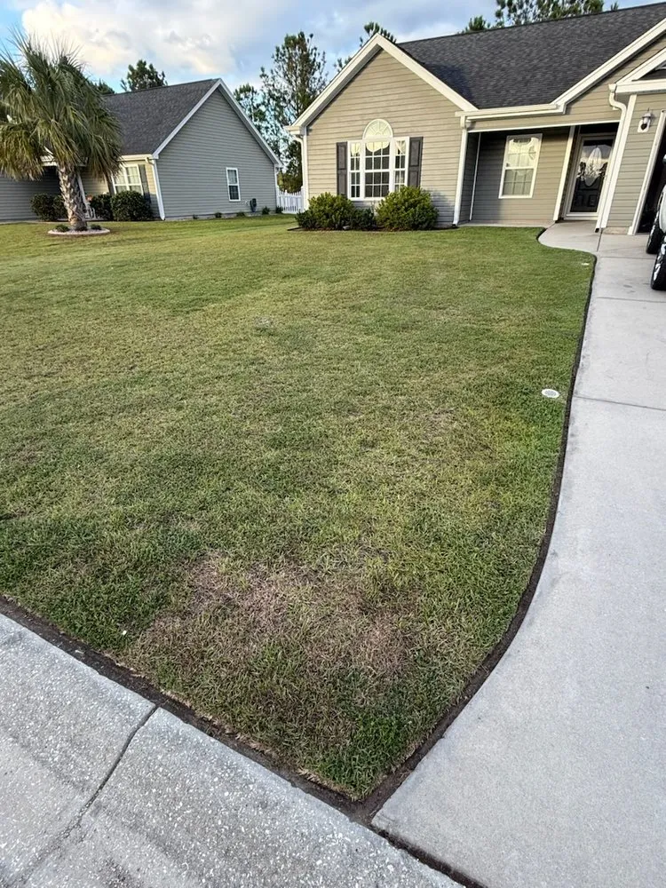 Top-rated yard maintenance in Conway, SC - Diggs Lawncare and Handyman