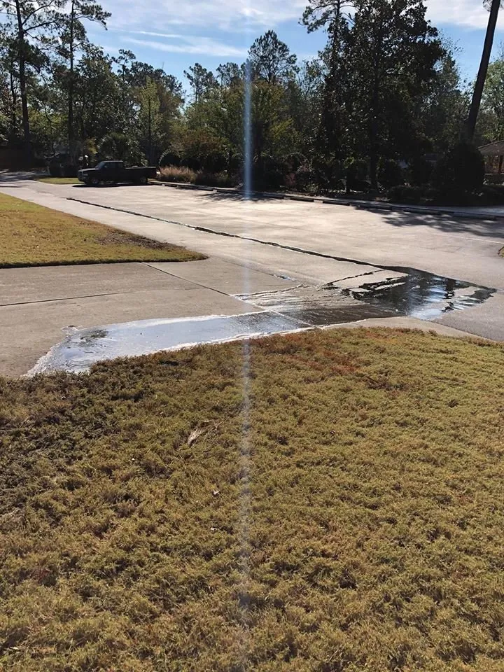 Local yard maintenance experts serving Wilmington, NC - Digital Landscape Design