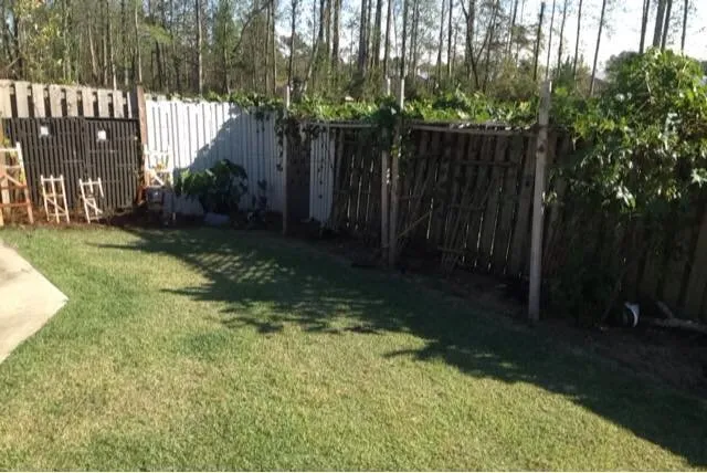 Trusted residential landscaping in Wilmington, NC - Digital Landscape Design