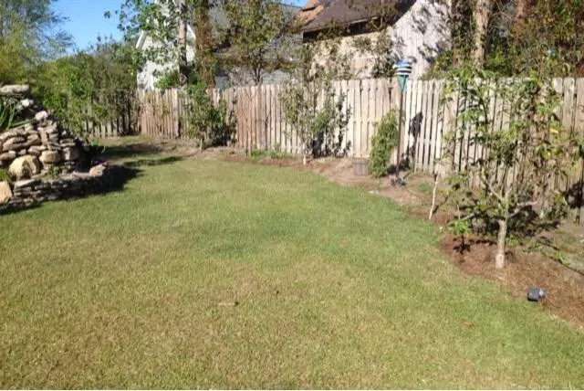 Professional yard maintenance in Wilmington, NC - Digital Landscape Design