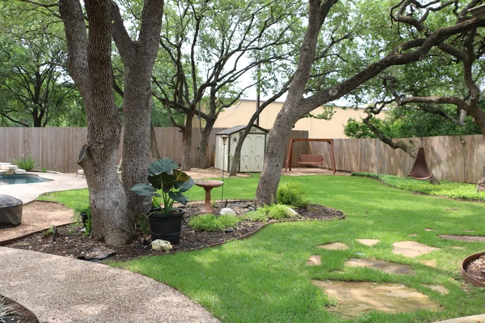 Local landscape design for year-round maintenance across New Braunfels, TX - Digital Leaf Design