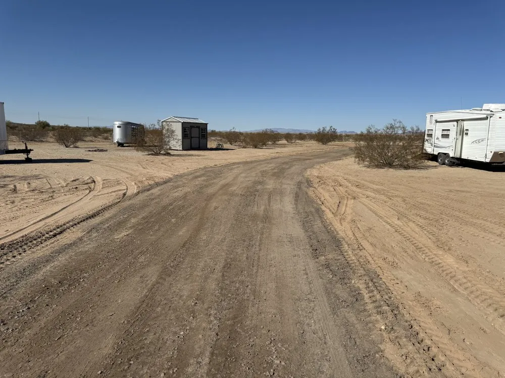 Trusted yard cleanup service in Phoenix, AZ - DigRite