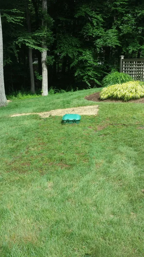 Trusted landscape design in Westport, CT by Diiorio Landscaping