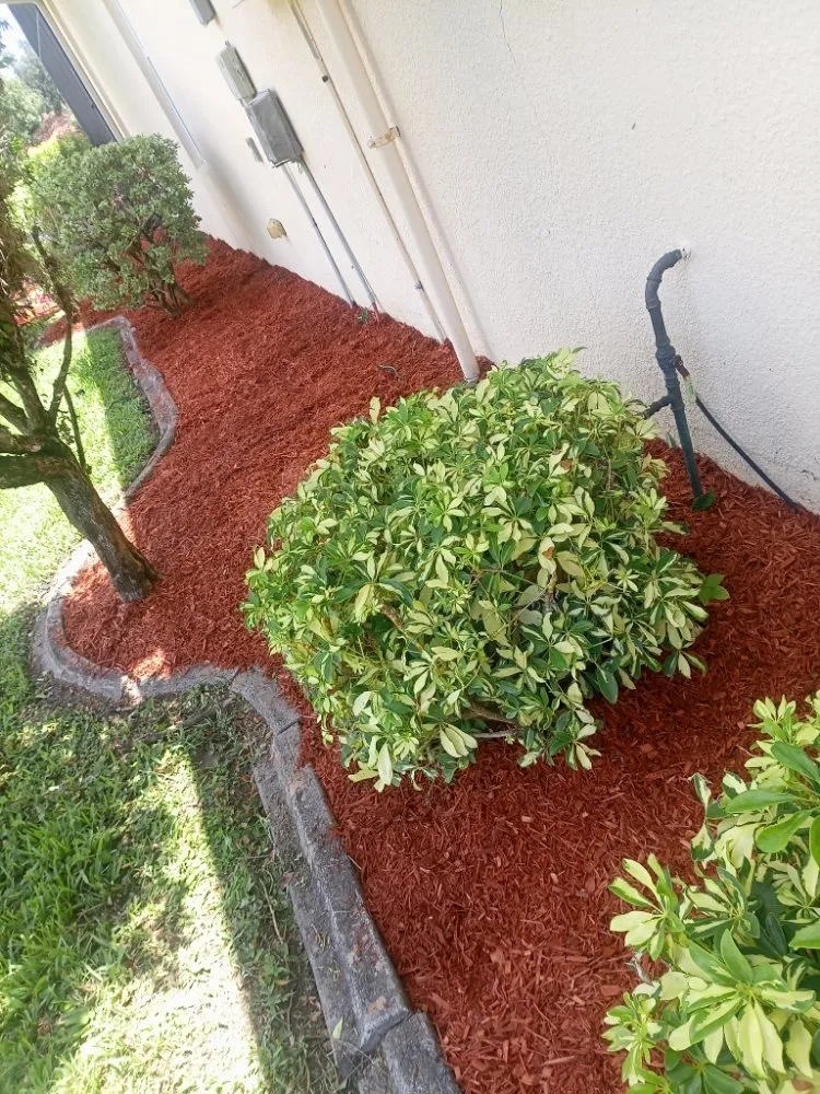 Professional outdoor landscaping for year-round maintenance across Melbourne, FL - Dil Lawns