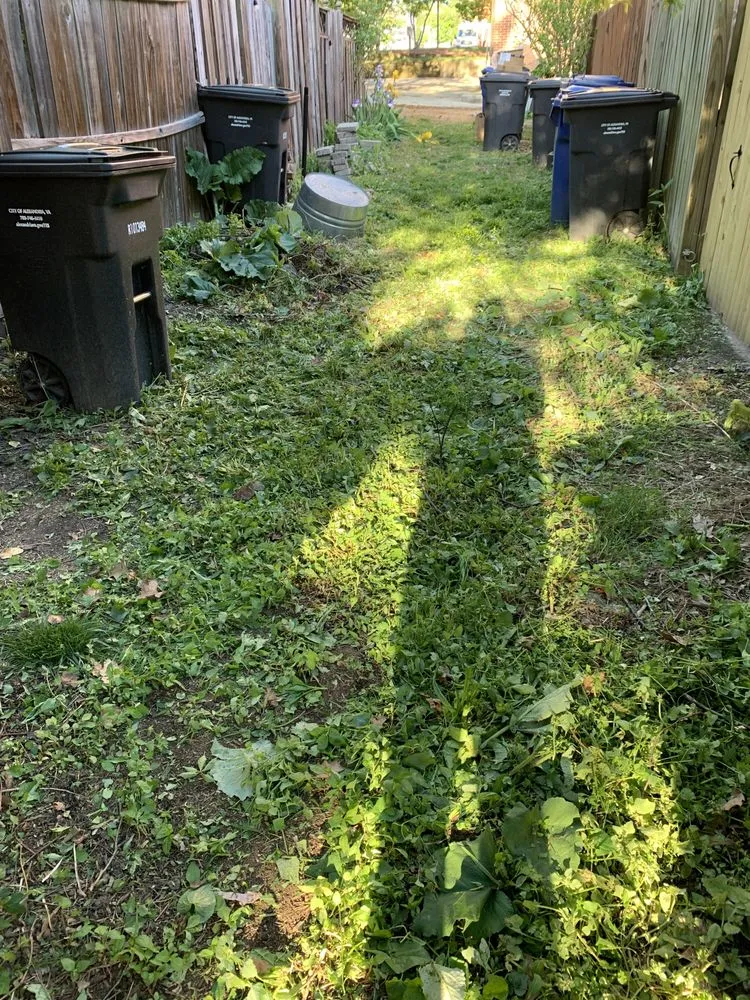 Reliable landscape design for year-round maintenance in Rockville, MD by DILF Services