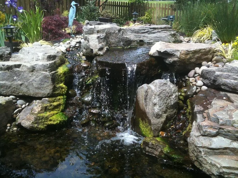 Reliable landscape design experts serving Salem, OR - Diligence Landscape