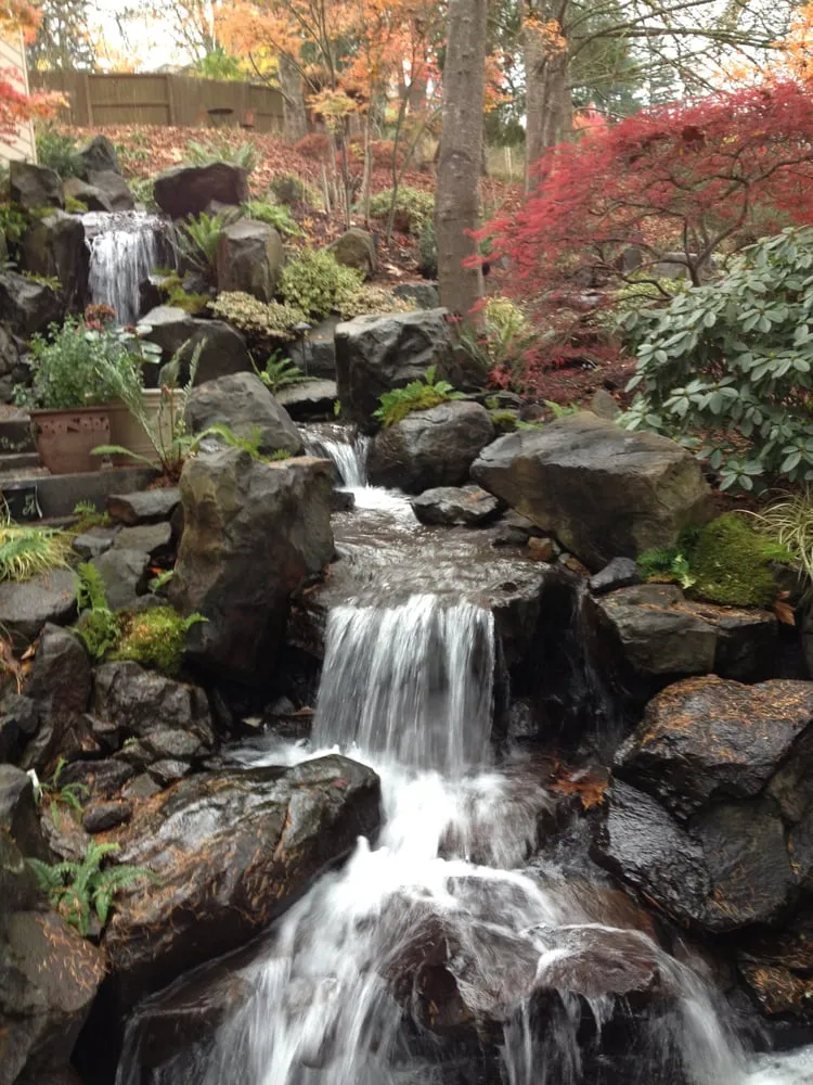 Top-rated lawn care service experts serving Salem, OR - Diligence Landscape