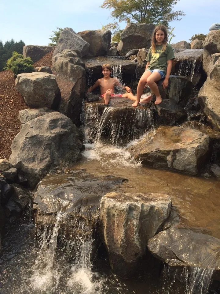 Professional lawn care service in Salem, OR by Diligence Landscape