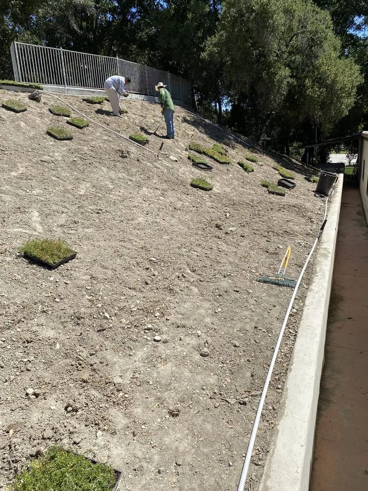 Professional landscape installation in Lancaster, CA - Diligent Land Care