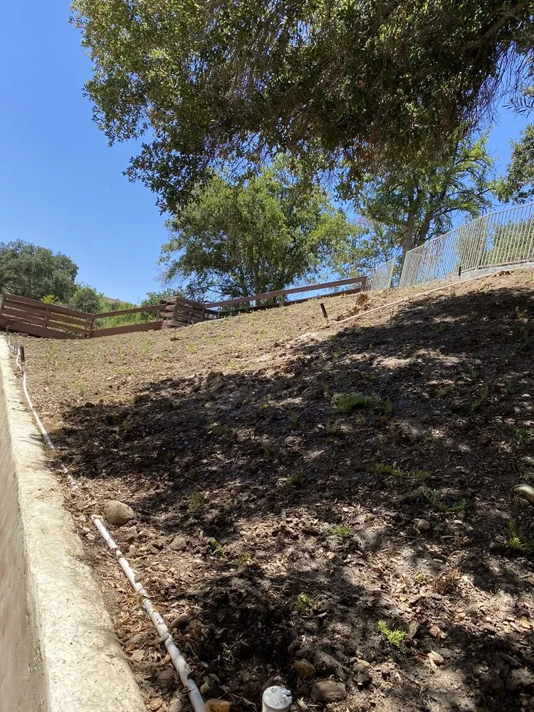 Affordable yard cleanup service for outdoor upgrades across Lancaster, CA - Diligent Land Care