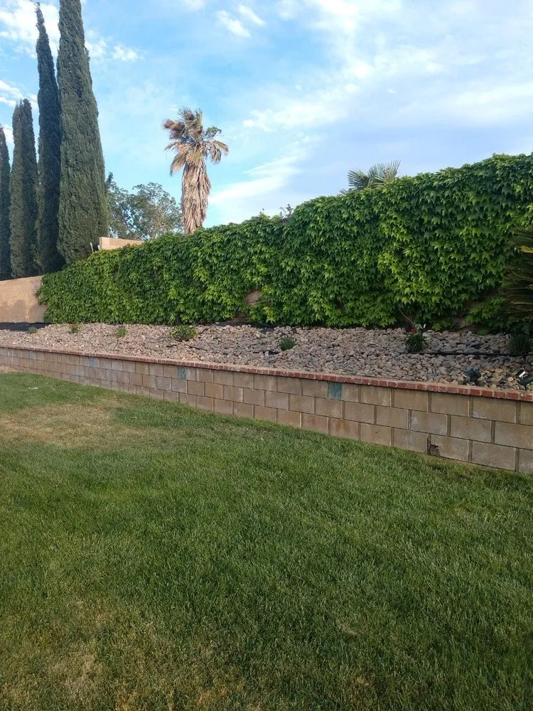 Local outdoor landscaping for homes across Lancaster, CA - Diligent Land Care
