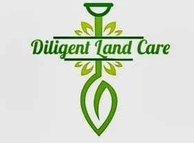 Affordable outdoor landscaping with custom design in Lancaster, CA by Diligent Land Care