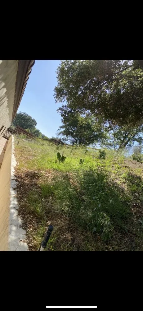 Professional landscape installation in Lancaster, CA by Diligent Land Care