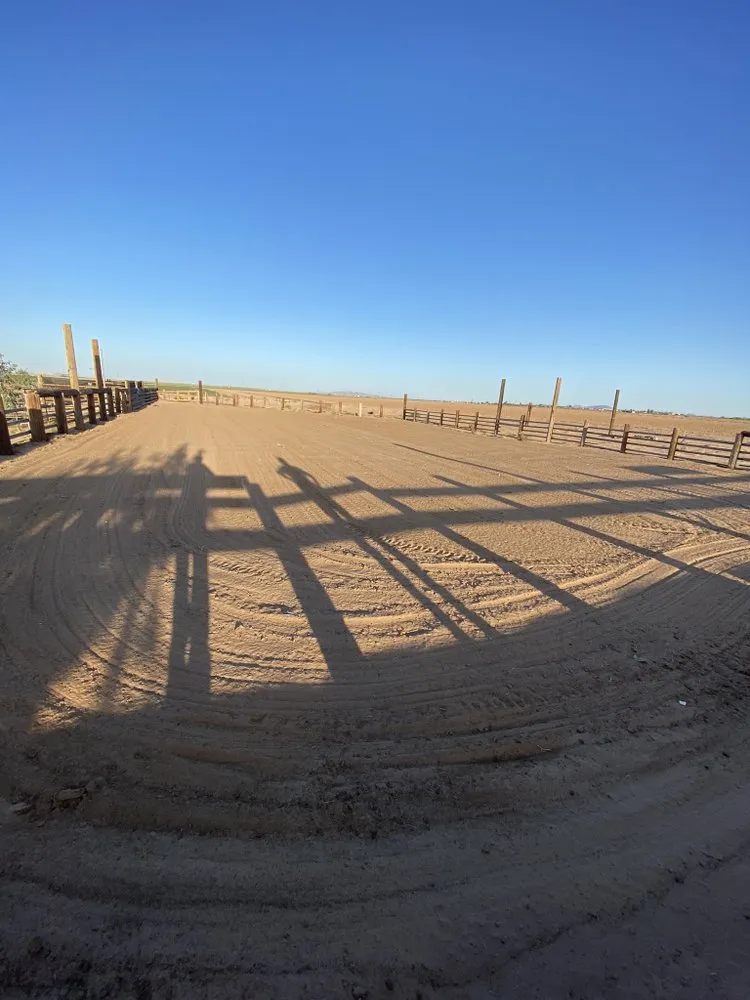 Trusted lawn mowing service near you in Phoenix, AZ by Diligent Tractor Service