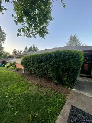 Dillans Lawncare Logo