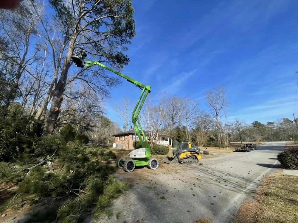 Trusted garden landscaping for year-round maintenance across Newberry, SC - Dillard Land Management