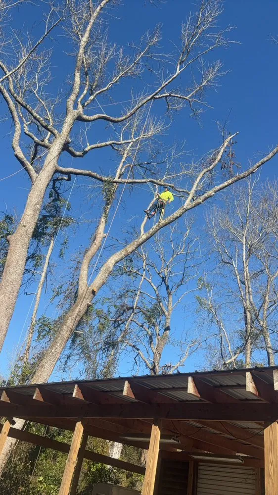 Expert yard cleanup service in Newberry, SC - Dillard Land Management