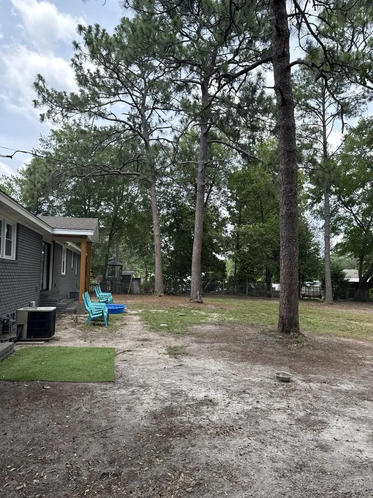 Affordable lawn care service for residential properties across Newberry, SC - Dillard Land Management