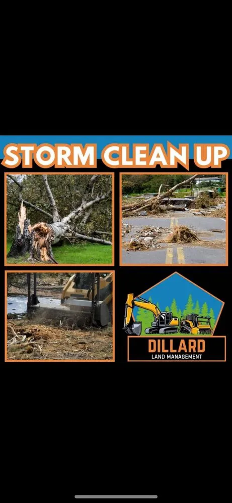 Professional yard cleanup service with custom design in Newberry, SC by Dillard Land Management