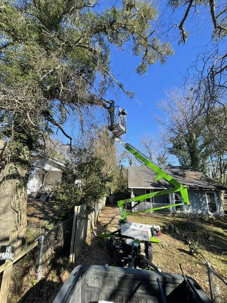 Custom landscaping services in Newberry, SC by Dillard Land Management