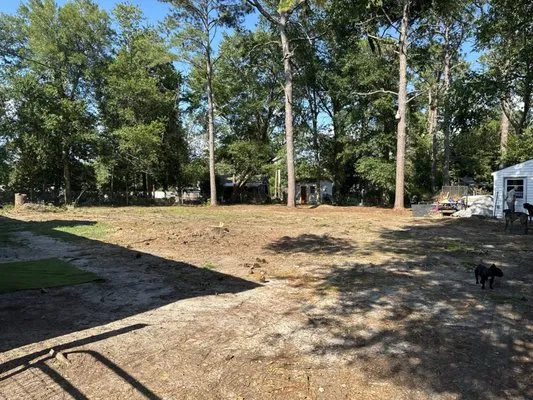 Dillard Land Management