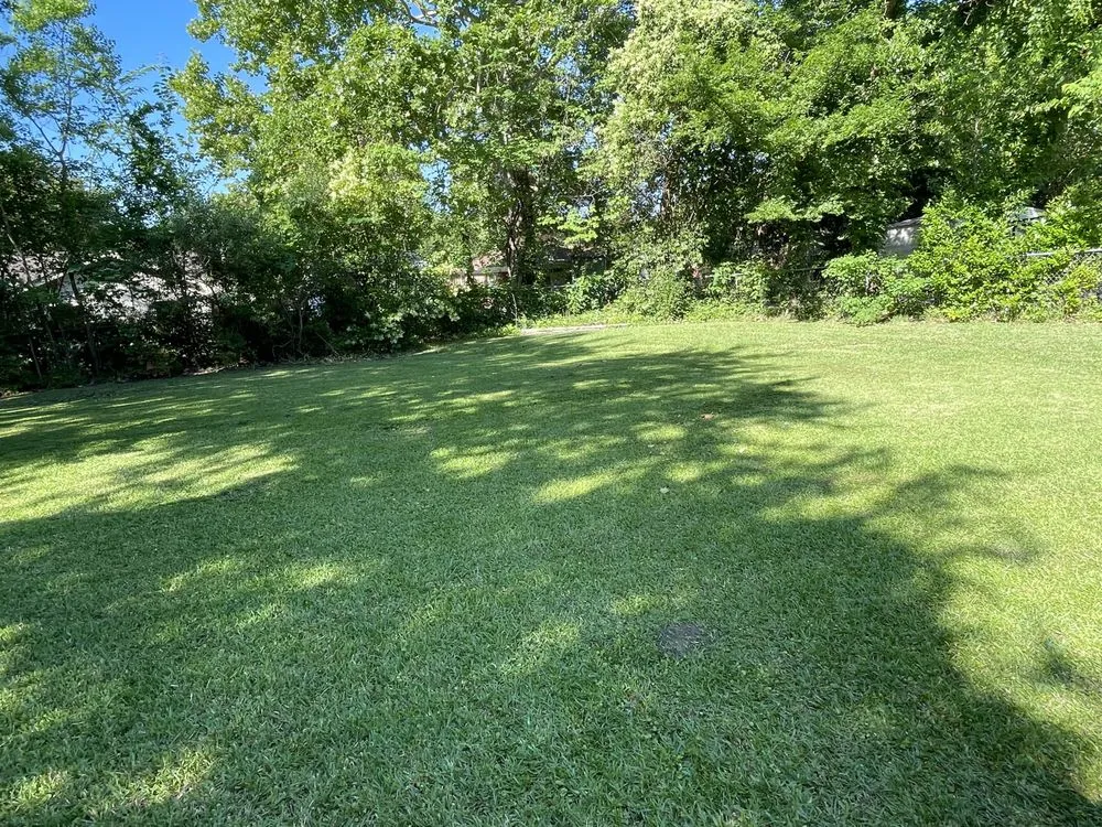 Top-rated garden landscaping for beautiful yards across Montgomery, AL - Dillards Delivery Service