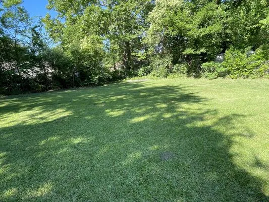 Dillards Delivery Service Logo