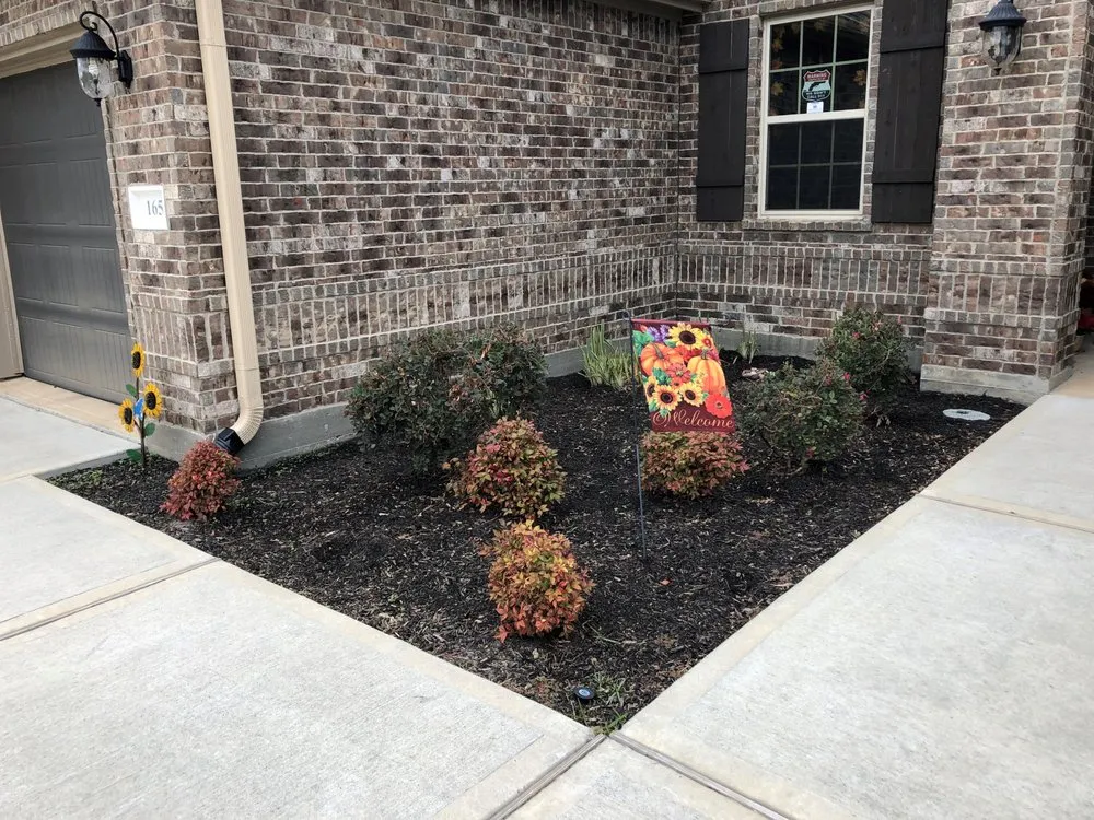 Trusted yard cleanup service experts serving Montgomery, TX - Dille Landscapes