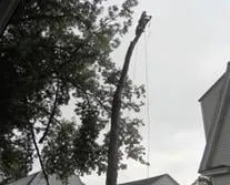 Professional landscape installation for year-round maintenance in Auburn, NY by Dillenburgh Brothers Tree Service & Landscape