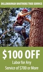 Custom landscape installation in Auburn, NY - Dillenburgh Brothers Tree Service & Landscape