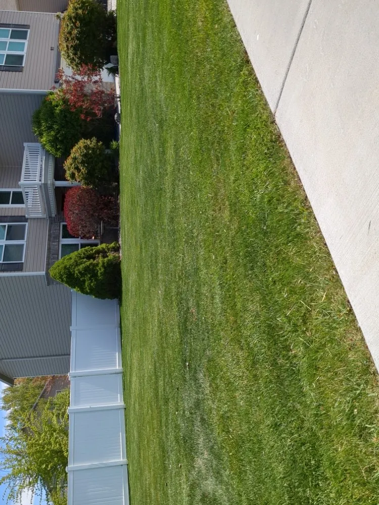 Reliable garden landscaping for outdoor upgrades in American Fork, UT by Dillingham Services