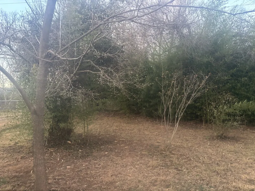 Expert yard cleanup service in Salem, VA - Dillion And Davis Landscaping