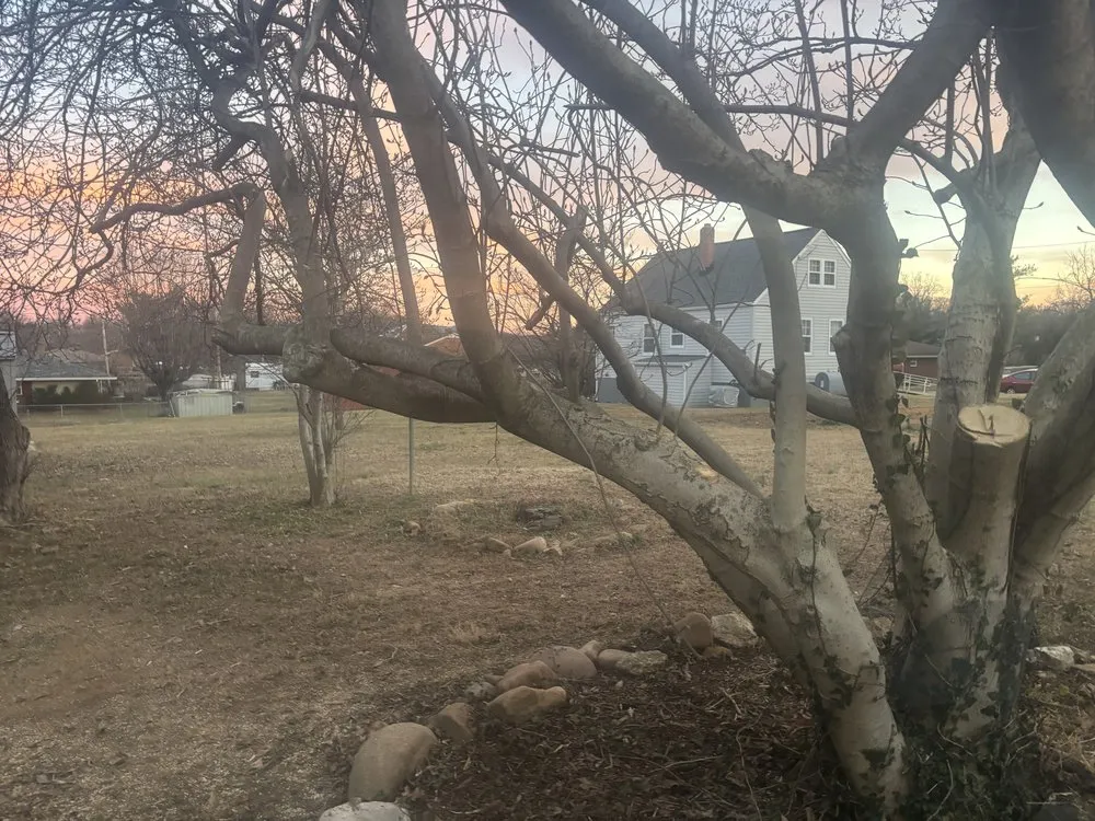 Top-rated lawn mowing service near you in Salem, VA by Dillion And Davis Landscaping