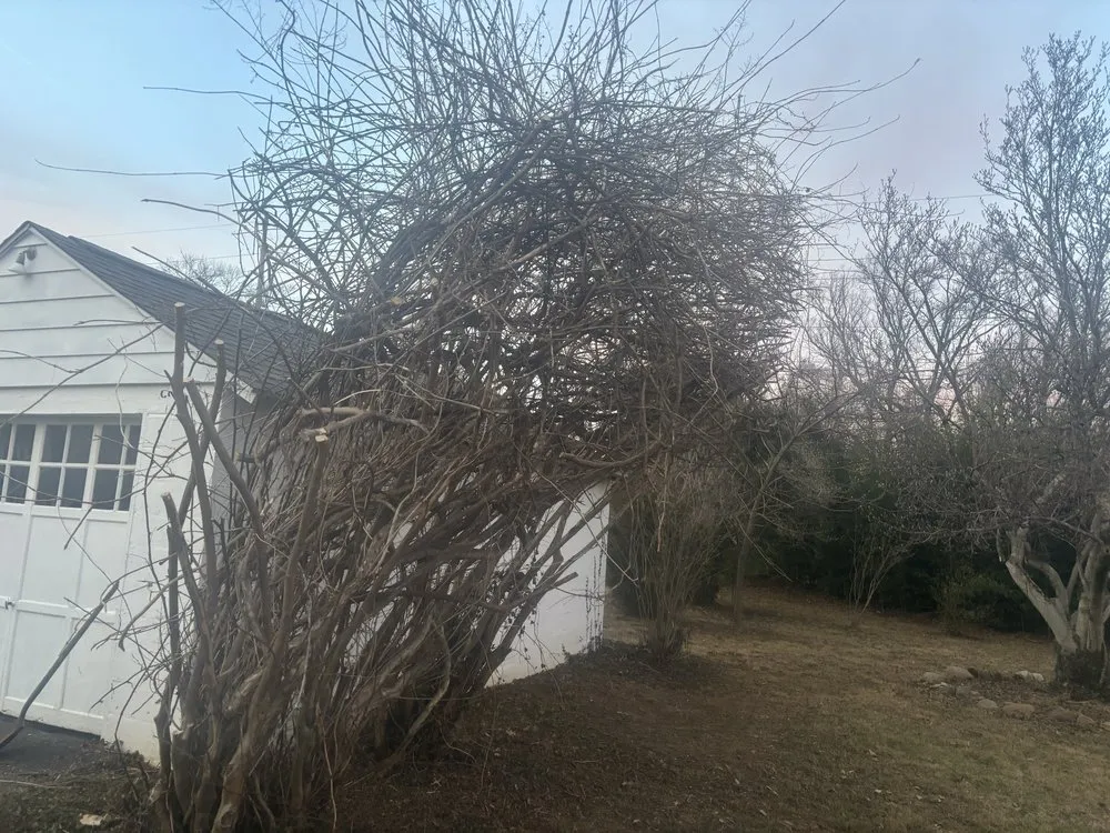 Trusted yard cleanup service for residential properties across Salem, VA - Dillion And Davis Landscaping