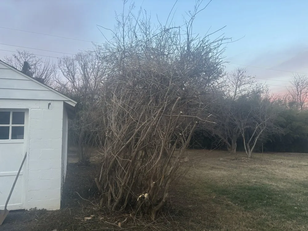 Professional yard maintenance for residential properties across Salem, VA - Dillion And Davis Landscaping