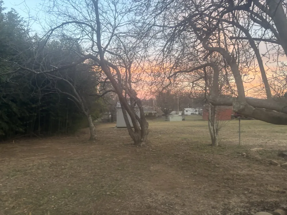 Expert outdoor landscaping in Salem, VA by Dillion And Davis Landscaping