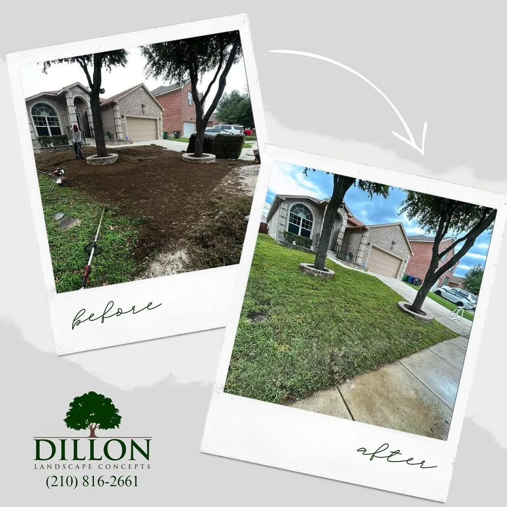 Custom yard maintenance in San Antonio, TX - Dillon Landscape Concepts